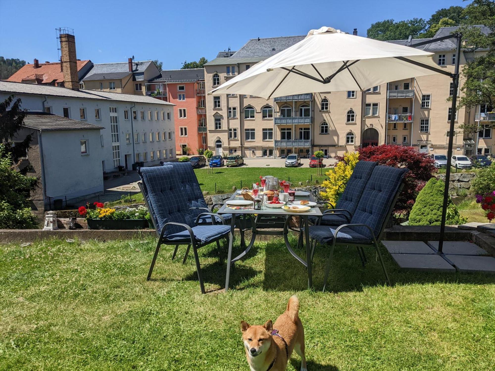 Hw3 - Urlaubsmagie - Helle, Grosse Wohnung Mit Pool Зебніц Екстер'єр фото